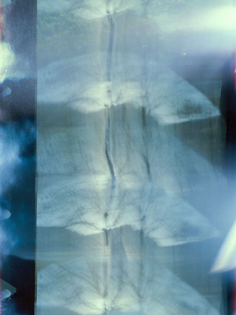 Holyrood Park, Edinburgh - 2016 - Videre pinhole camera + Kodak Portra 160