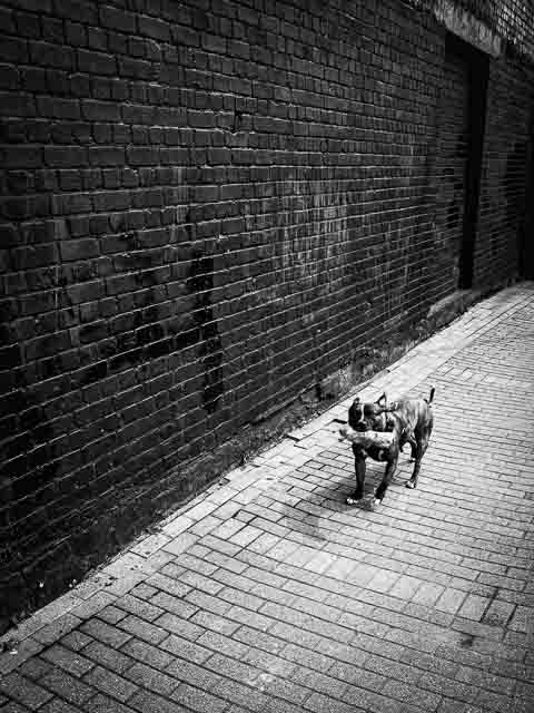 The Thames Path, Greenwich, London - 2014 - Fujifilm X-E1 + Fujinon XF 18-55mm f/2.8-4 R LM OIS