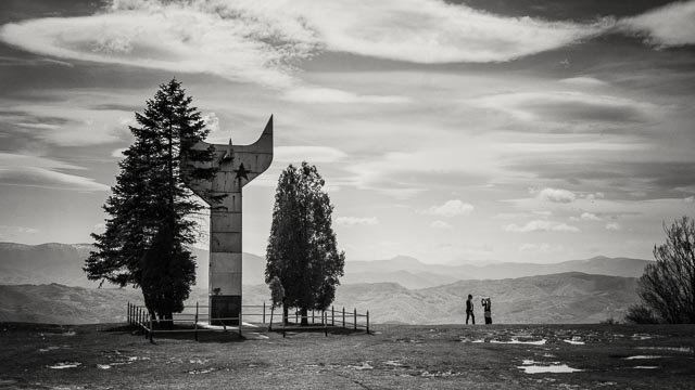 Black and white gallery image 12