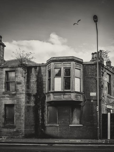 Black and white gallery image 2