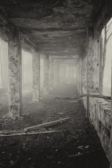 Bestovac gallery - Image 8