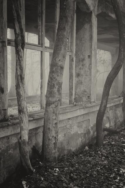 Bestovac gallery - Image 13