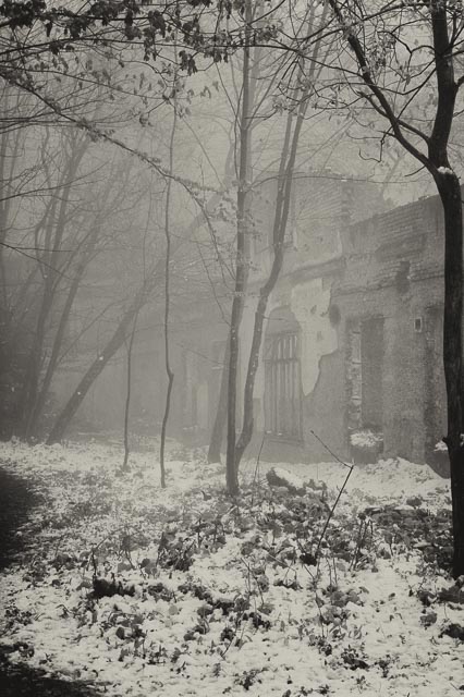 Bestovac gallery - Image 14