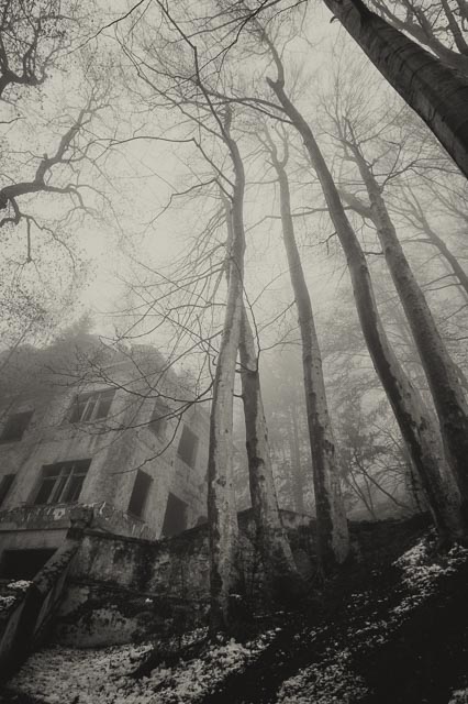 Bestovac gallery - Image 16