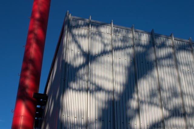 Colour gallery image 30