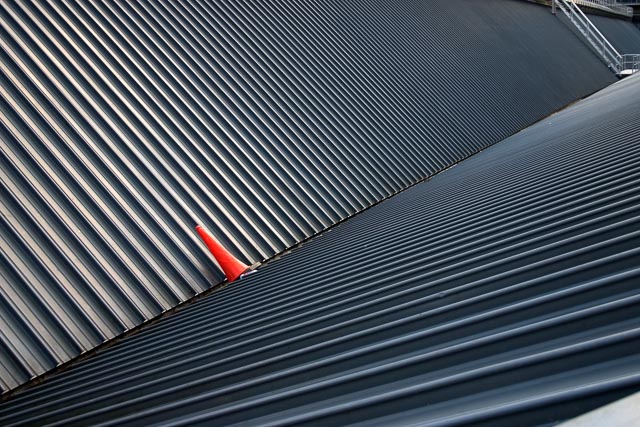 Colour gallery image 29