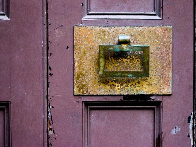 Colour gallery image 31