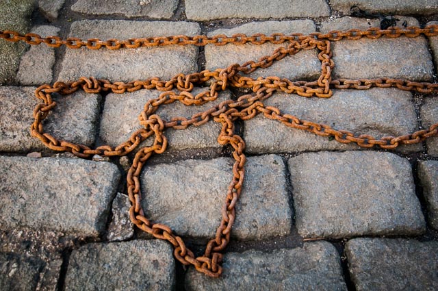 Colour gallery image 26