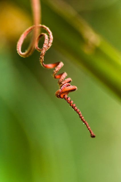 Colour gallery image 14