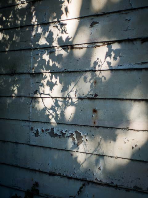 Bangour Village Hospital, Dechmont, near Edinburgh - 2015 - Olympus OM-D E-M10 + Olympus Pen F G.Zuiko Auto-S 40mm f/1.4