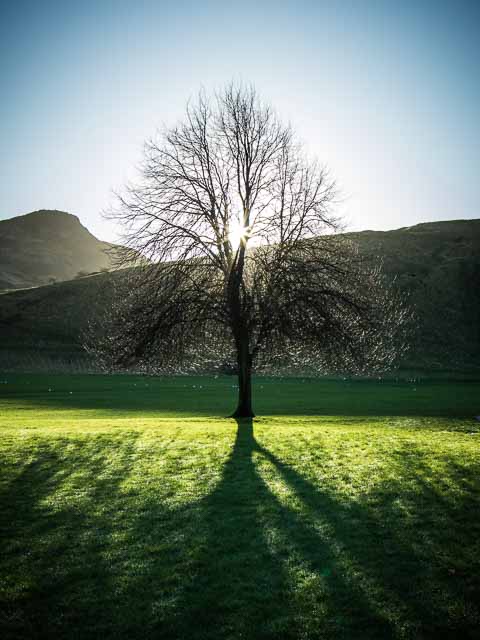 Holyrood Park, Edinburgh - 2015 - Pentax K-3ii + SMC Pentax DA 16-45mm f/4.0