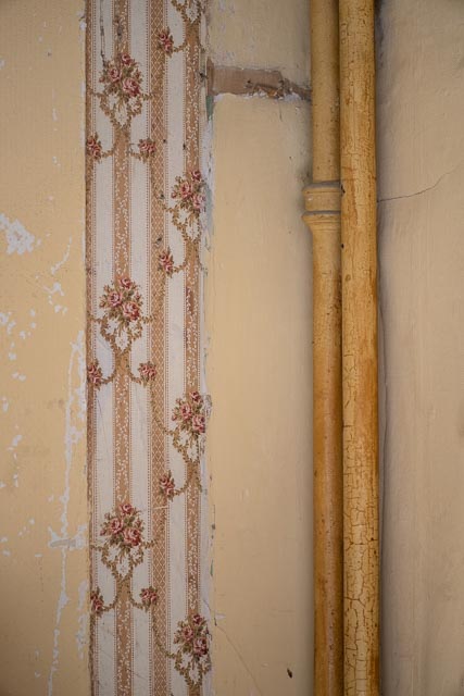 Elvaston Castle gallery - Image 12