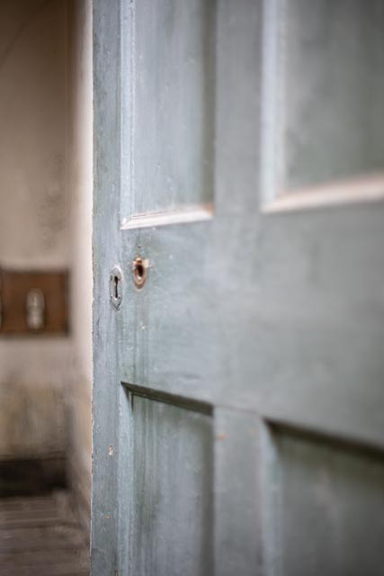 Elvaston Castle gallery - Image 19