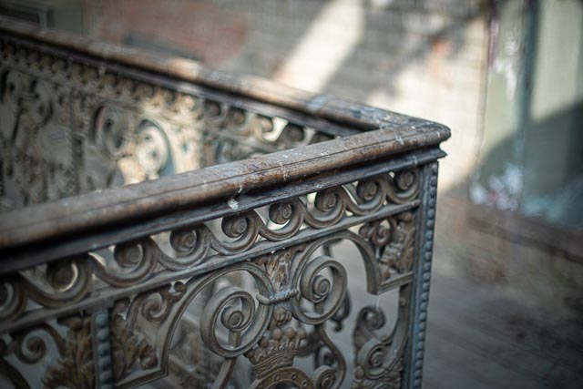 Elvaston Castle gallery - Image 33