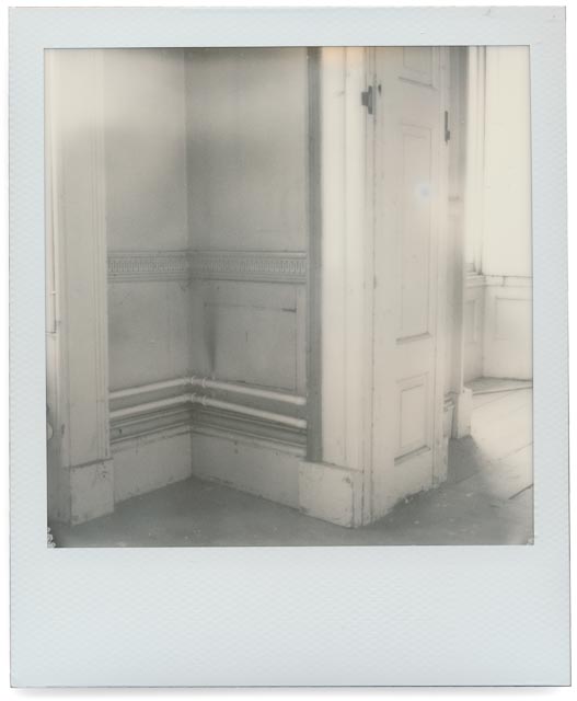 Elvaston Castle gallery - Image 43