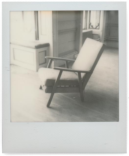 Elvaston Castle gallery - Image 41