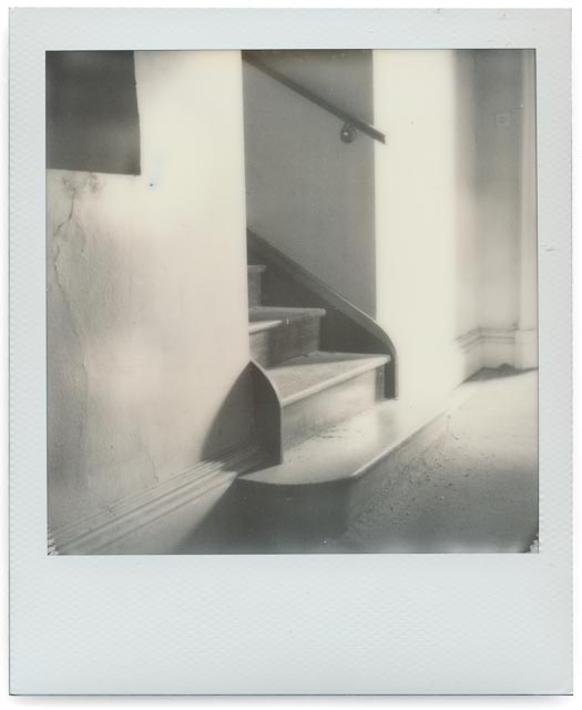 Elvaston Castle gallery - Image 44