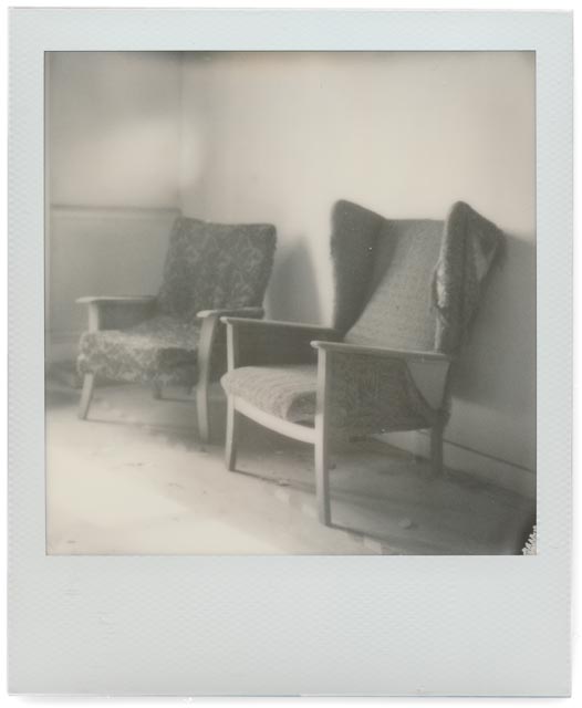 Elvaston Castle gallery - Image 40