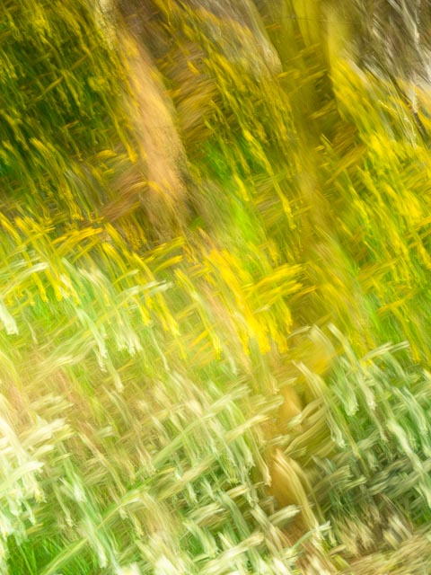 Intentional camera movement - Multiple exposures 1