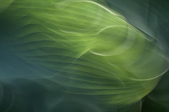 Intentional camera movement - Multiple exposures 14