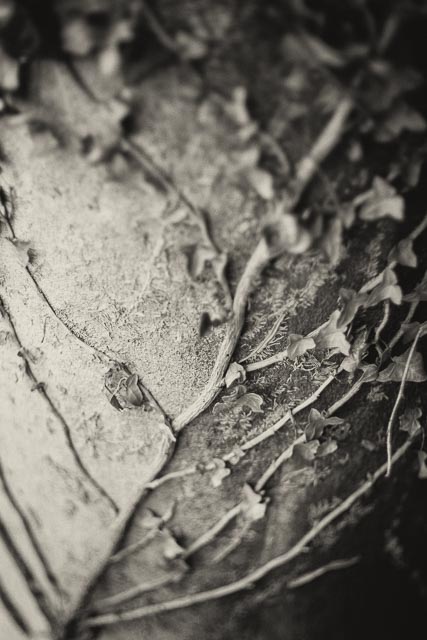 All Souls Cemetery, Kensal Green gallery - Image 7