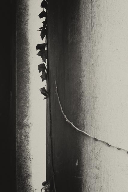 All Souls Cemetery, Kensal Green gallery - Image 8