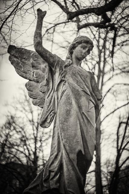Brompton Cemetery gallery - Image 1
