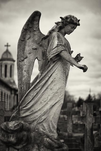 Brompton Cemetery gallery - Image 9
