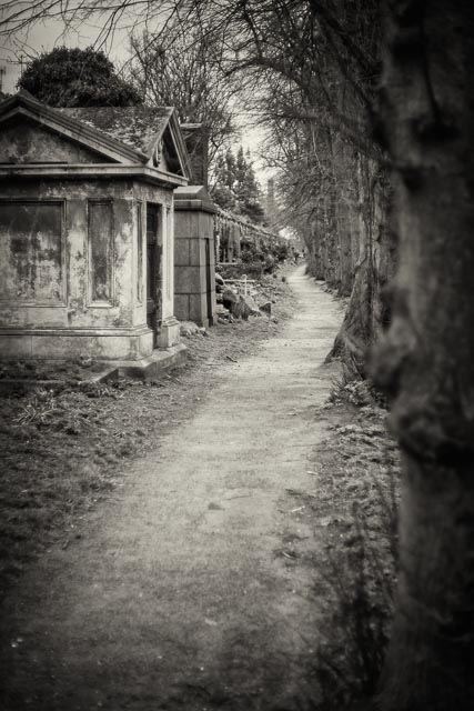 Brompton Cemetery gallery - Image 12
