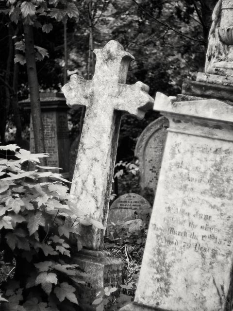Abney Park Cemetery gallery - Image 2
