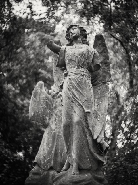 Abney Park Cemetery gallery - Image 5