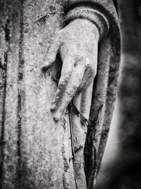 Abney Park Cemetery gallery - Image 6