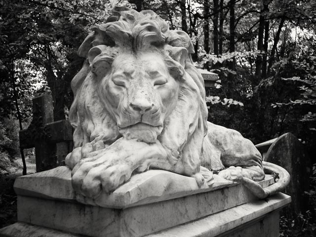 Abney Park Cemetery gallery - Image 7