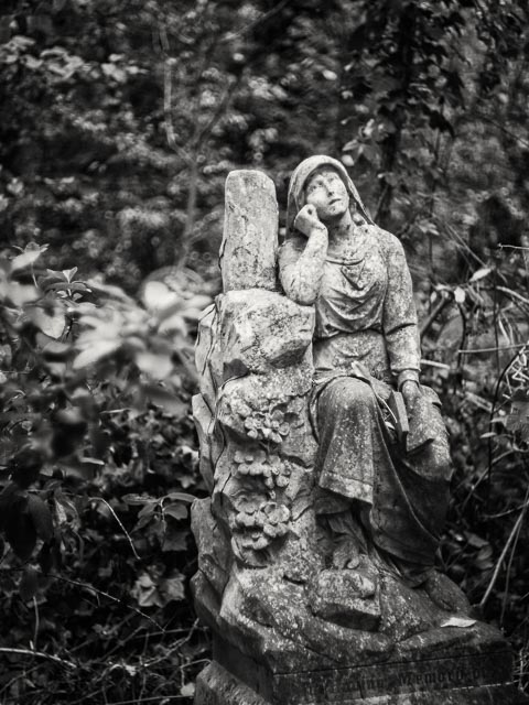 Abney Park Cemetery gallery - Image 8
