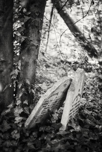 Tower Hamlets Cemetery gallery - Image 2