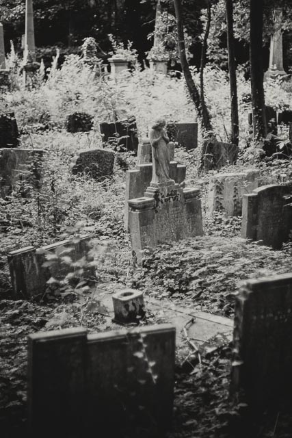 Tower Hamlets Cemetery gallery - Image 9