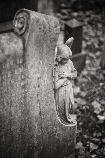 Tower Hamlets Cemetery gallery - Image 10
