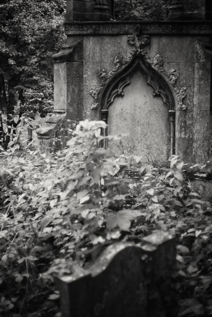 Tower Hamlets Cemetery gallery - Image 12
