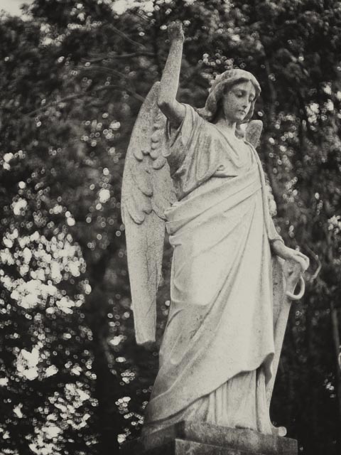 Highgate East Cemetery gallery - Image 1