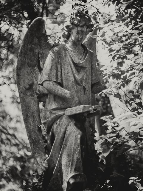 Highgate East Cemetery gallery - Image 3