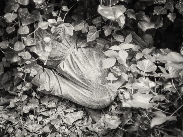 Highgate East Cemetery gallery - Image 6