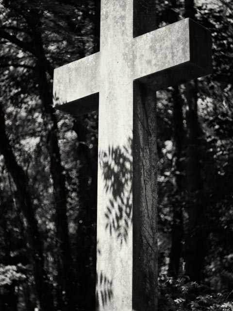Highgate East Cemetery gallery - Image 10
