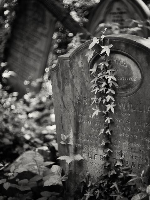 Highgate East Cemetery gallery - Image 11