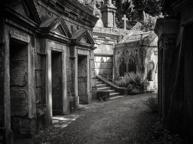 Highgate West Cemetery gallery - Image 6