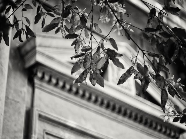 Highgate West Cemetery gallery - Image 8
