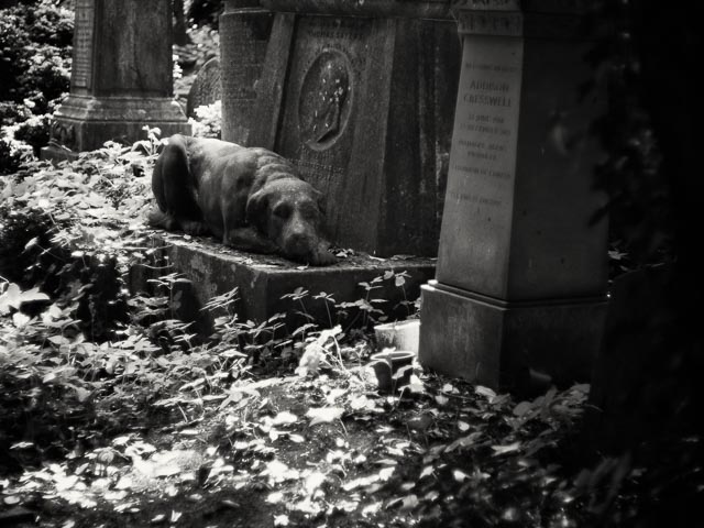 Highgate West Cemetery gallery - Image 10