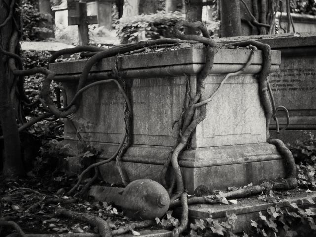 Highgate West Cemetery gallery - Image 11