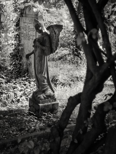 Highgate East Cemetery gallery - Image 12