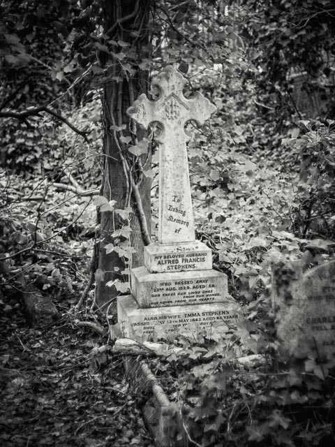 Nunhead Cemetery gallery - Image 2