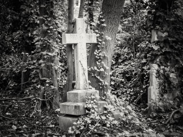 Nunhead Cemetery gallery - Image 4